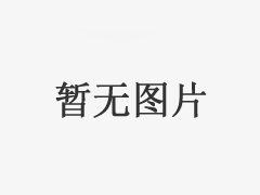 證件翻譯公司哪